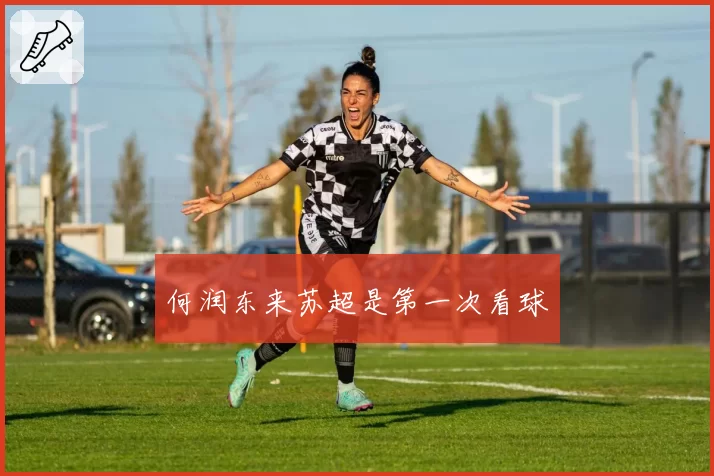 何润东来苏超是第一次看球