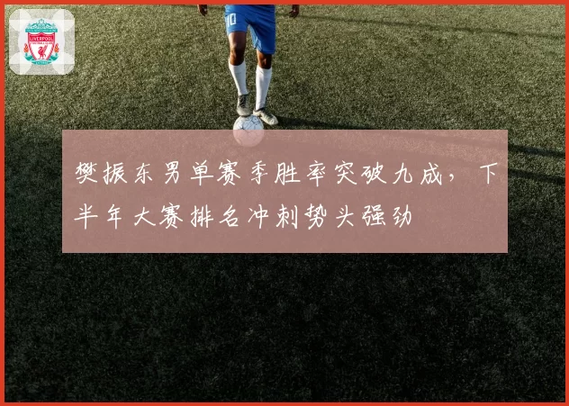 樊振东男单赛季胜率突破九成，下半年大赛排名冲刺势头强劲